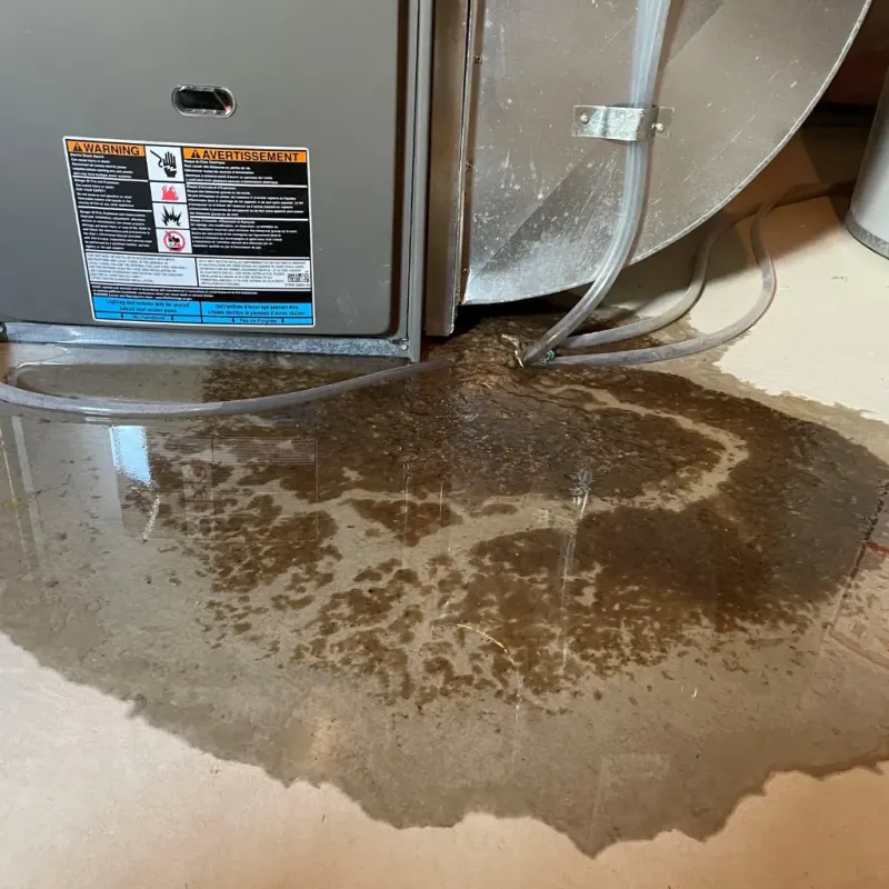 Appliance Leak Cleanup in Limestone County, TX
