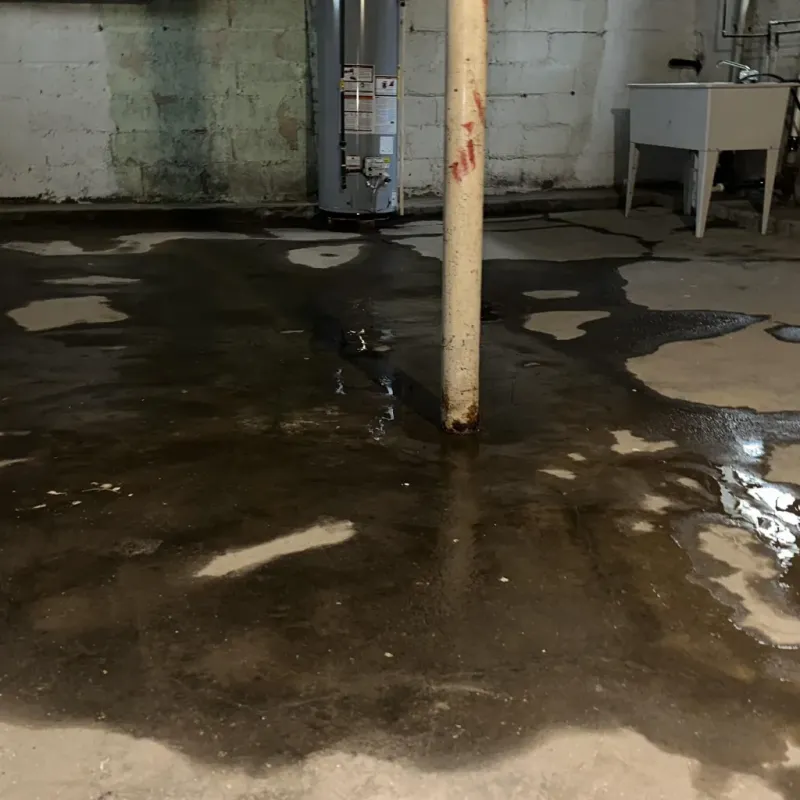 Emergency Water Extraction And Removal in Limestone County, TX